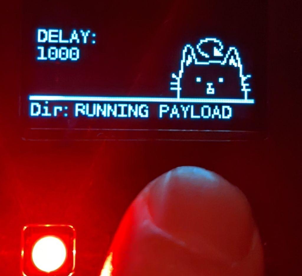 Payload Running